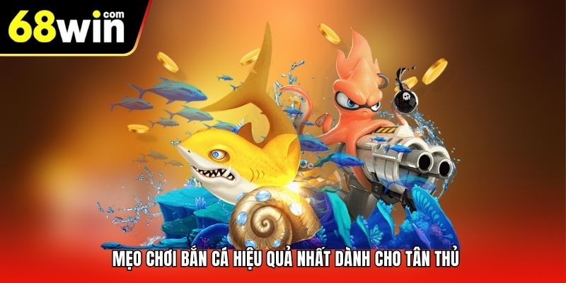 Mẹo chơi bắn cá hiệu quả nhất dành cho tân thủ