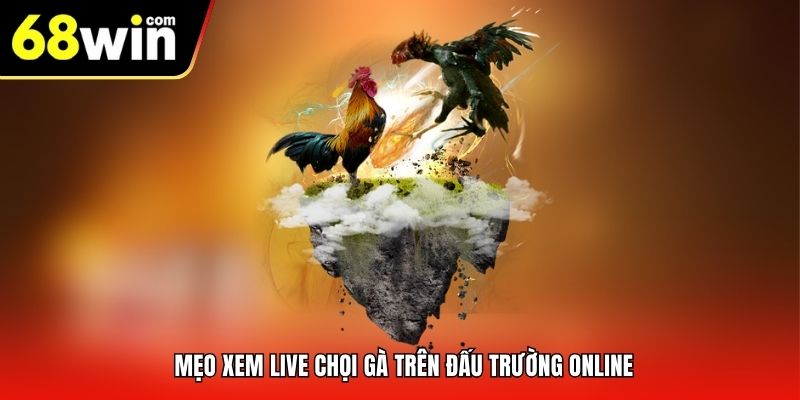 Mẹo xem live chọi gà trên đấu trường online